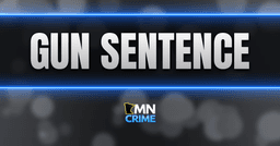 Man Sentenced for Machine Gun in Brooklyn Park Case