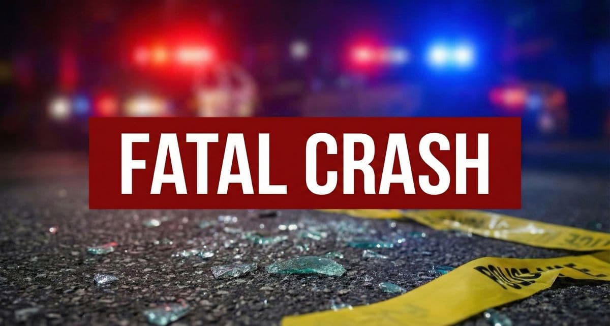 Head-On Crash on Highway 24 in Meeker County Leaves 1 Dead