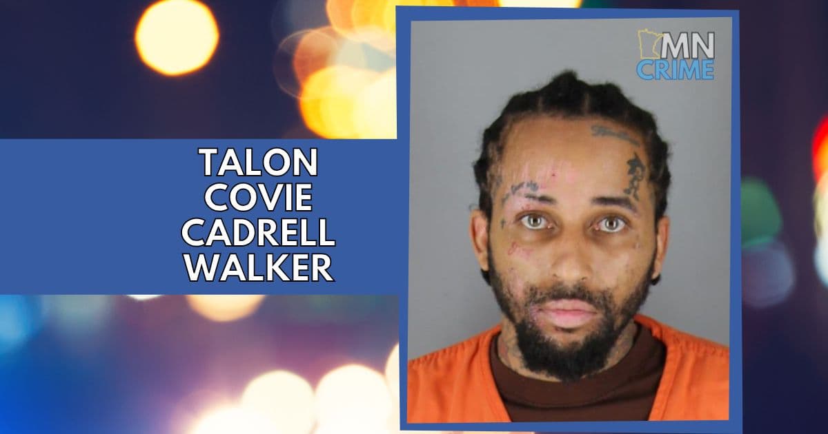 Man Pleads Guilty in Minneapolis Crash That Killed 1, Injured Several