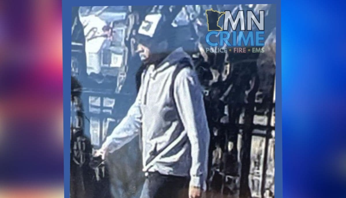 Police Seek Man After Brutal Minneapolis Log Attack